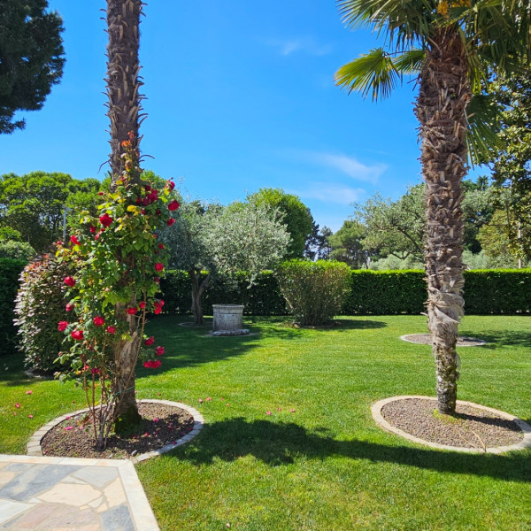 Villa Mare Oliva, Pure Istrian Experience Novigrad