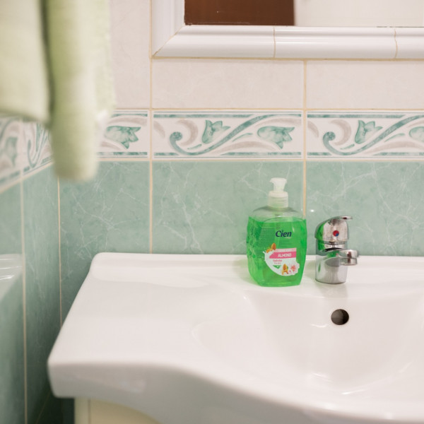 Bathroom / WC, Apartmani Karpinjan (Novigrad), Pure Istrian Experience Novigrad